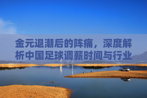 金元退潮后的阵痛，深度解析中国足球调薪时间与行业新规