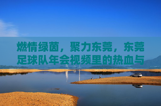 燃情绿茵，聚力东莞，东莞足球队年会视频里的热血与温情