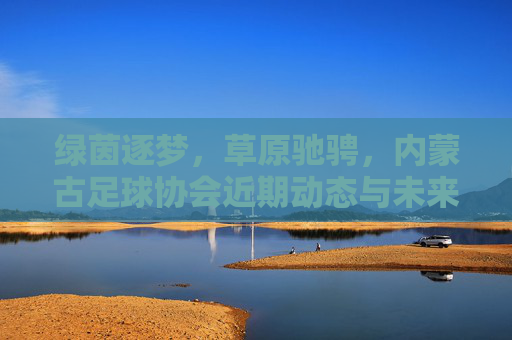 绿茵逐梦，草原驰骋，内蒙古足球协会近期动态与未来展望