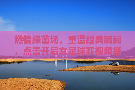 燃情绿茵场，重温经典瞬间，点击开启女足球赛视频播放之旅