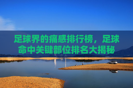 足球界的痛感排行榜,足球命中关键部位排名大揭秘