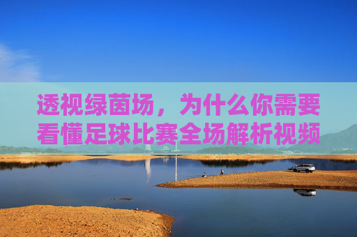 透视绿茵场，为什么你需要看懂足球比赛全场解析视频？