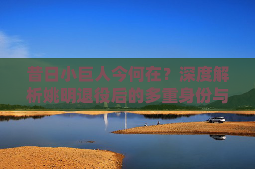 昔日小巨人今何在?深度解析姚明退役后的多重身份与现状