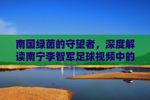南国绿茵的守望者,深度解读南宁李智军足球视频中的战术智慧与足球情怀