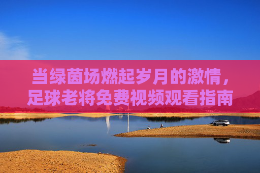 当绿茵场燃起岁月的激情,足球老将免费视频观看指南