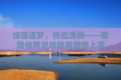 绿茵逐梦，热血沸腾——鑫鼎体育足球联赛燃情上演