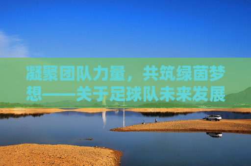 凝聚团队力量，共筑绿茵梦想——关于足球队未来发展方向的征求意见通知