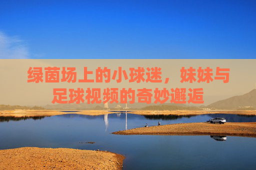 绿茵场上的小球迷，妹妹与足球视频的奇妙邂逅