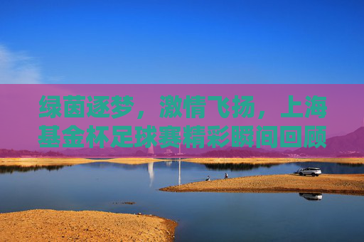 绿茵逐梦，激情飞扬，上海基金杯足球赛精彩瞬间回顾