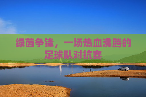 绿茵争锋，一场热血沸腾的足球队对抗赛