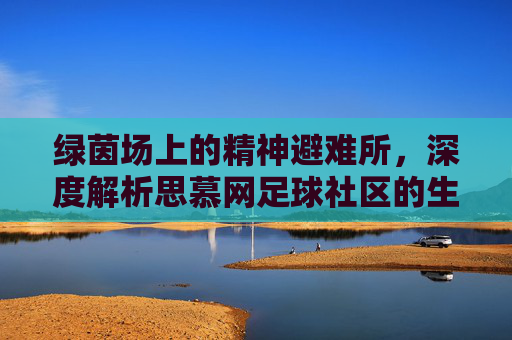 绿茵场上的精神避难所,深度解析思慕网足球社区的生态与魅力
