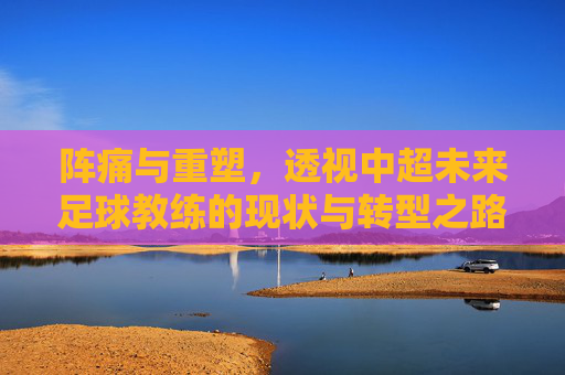 阵痛与重塑，透视中超未来足球教练的现状与转型之路