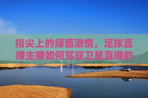 指尖上的绿茵激情,足球直播主播如何驾驭卫星直播的精彩瞬间
