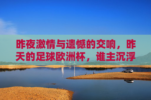 昨夜激情与遗憾的交响，昨天的足球欧洲杯，谁主沉浮？