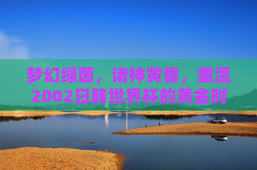 梦幻绿茵，诸神黄昏，重温2002日韩世界杯的黄金时代