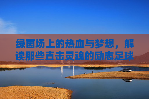 绿茵场上的热血与梦想，解读那些直击灵魂的励志足球运动视频