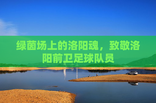 绿茵场上的洛阳魂,致敬洛阳前卫足球队员