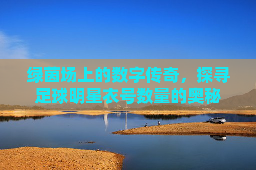 绿茵场上的数字传奇,探寻足球明星衣号数量的奥秘