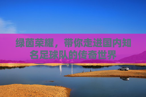 绿茵荣耀，带你走进国内知名足球队的传奇世界