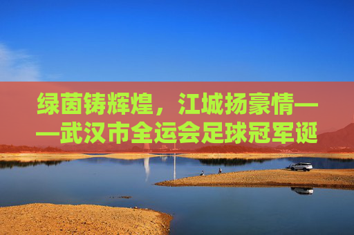 绿茵铸辉煌，江城扬豪情——武汉市全运会足球冠军诞生记
