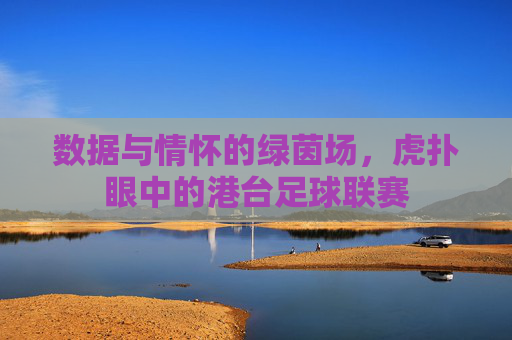 数据与情怀的绿茵场，虎扑眼中的港台足球联赛