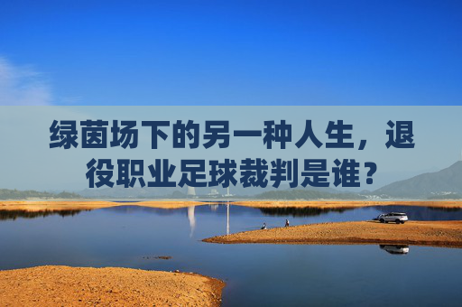 绿茵场下的另一种人生,退役职业足球裁判是谁?
