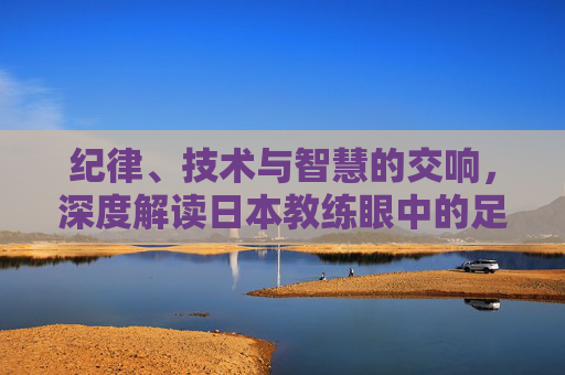 纪律、技术与智慧的交响,深度解读日本教练眼中的足球比赛
