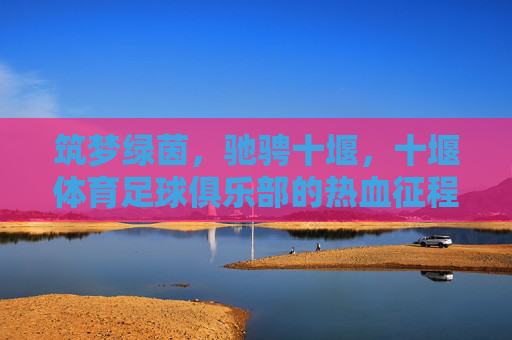筑梦绿茵,驰骋十堰,十堰体育足球俱乐部的热血征程