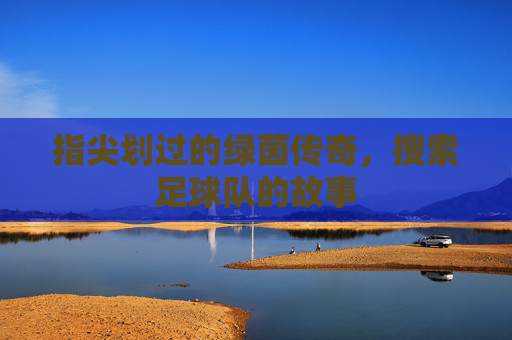 指尖划过的绿茵传奇，搜索足球队的故事