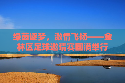 绿茵逐梦,激情飞扬——金林区足球邀请赛圆满举行