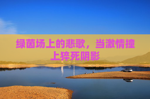 绿茵场上的悲歌,当激情撞上猝死阴影