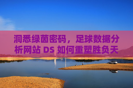 洞悉绿茵密码，足球数据分析网站 DS 如何重塑胜负天平