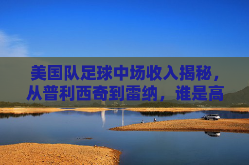 美国队足球中场收入揭秘，从普利西奇到雷纳，谁是高薪王？