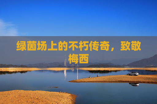 绿茵场上的不朽传奇，致敬梅西