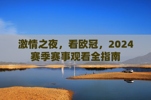 激情之夜,看欧冠,2024赛季赛事观看全指南