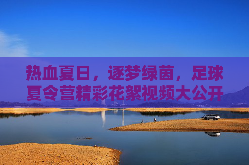 热血夏日,逐梦绿茵,足球夏令营精彩花絮视频大公开