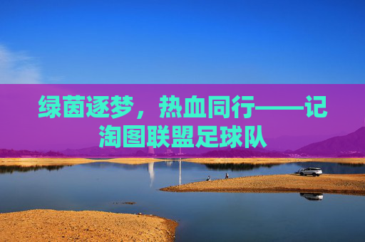 绿茵逐梦,热血同行——记淘图联盟足球队