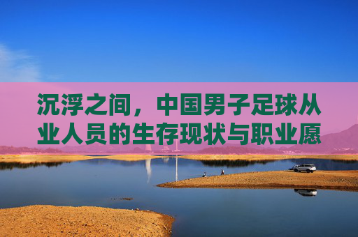 沉浮之间，中国男子足球从业人员的生存现状与职业愿景