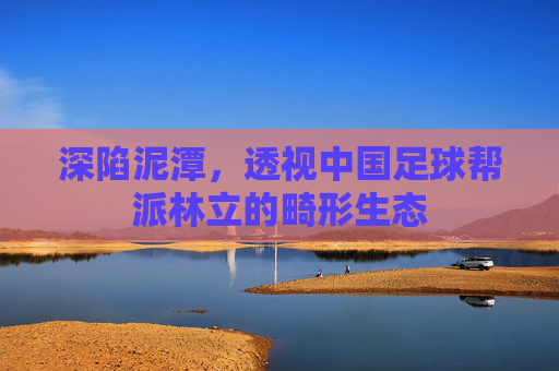 深陷泥潭，透视中国足球帮派林立的畸形生态