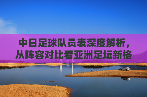 中日足球队员表深度解析，从阵容对比看亚洲足坛新格局