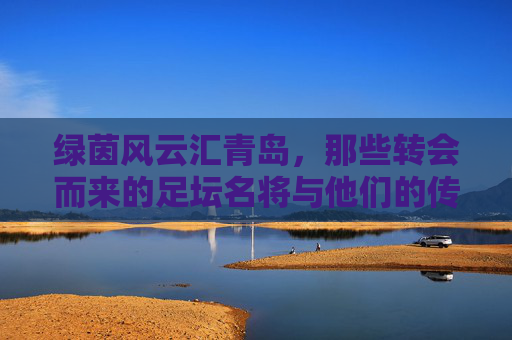 绿茵风云汇青岛，那些转会而来的足坛名将与他们的传奇足迹