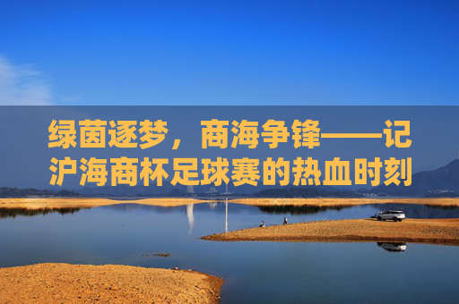 绿茵逐梦，商海争锋——记沪海商杯足球赛的热血时刻