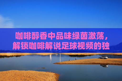 咖啡醇香中品味绿茵激荡，解锁咖啡解说足球视频的独特魅力