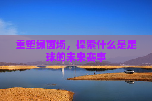 重塑绿茵场,探索什么是足球的未来赛事