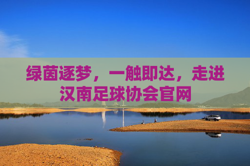 绿茵逐梦，一触即达，走进汉南足球协会官网