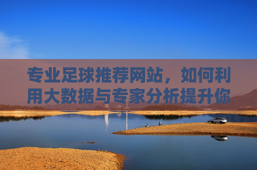 专业足球推荐网站,如何利用大数据与专家分析提升你的胜率?