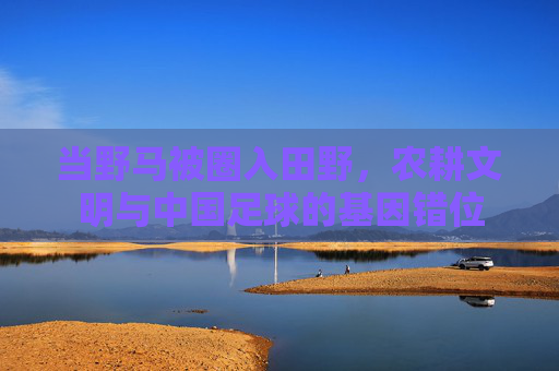 当野马被圈入田野，农耕文明与中国足球的基因错位