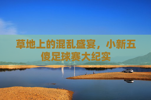 草地上的混乱盛宴,小新五傻足球赛大纪实