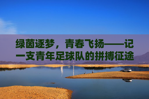 绿茵逐梦,青春飞扬——记一支青年足球队的拼搏征途