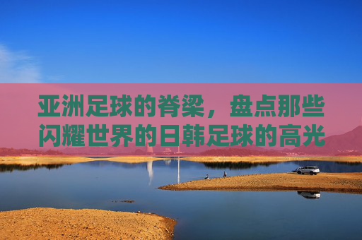 亚洲足球的脊梁,盘点那些闪耀世界的日韩足球的高光球星